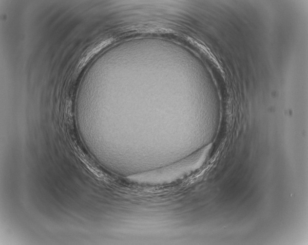 X0000085790881200704131852