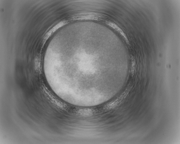 X0000085790882200704131852