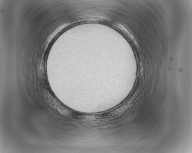 X0000085790883200704131852