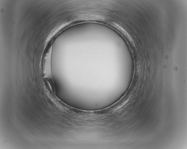 X0000085790885200704131852