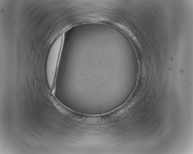 X0000085790889200704131852