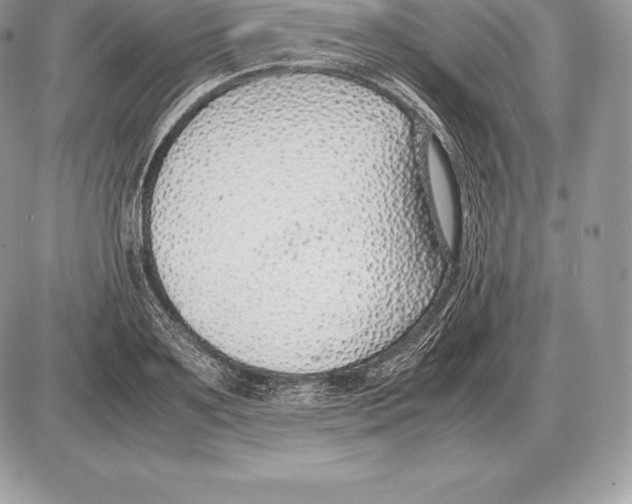 X0000085790891200704131852