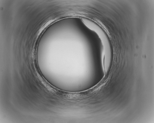 X0000085790893200704131852