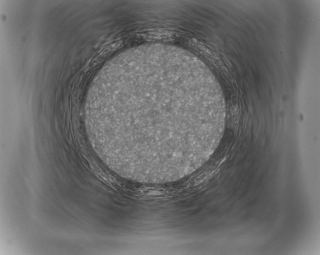 X0000085790913200704131850