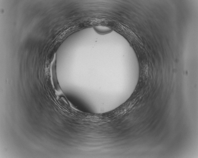 X0000085790914200704131850