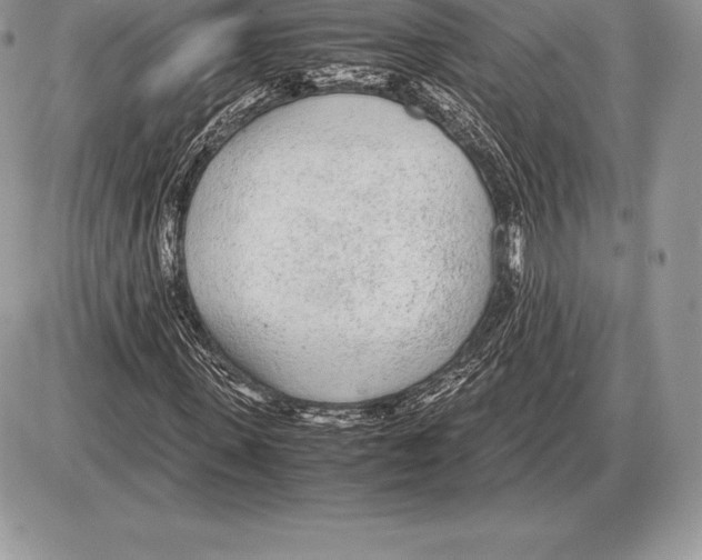 X0000085790915200704131850