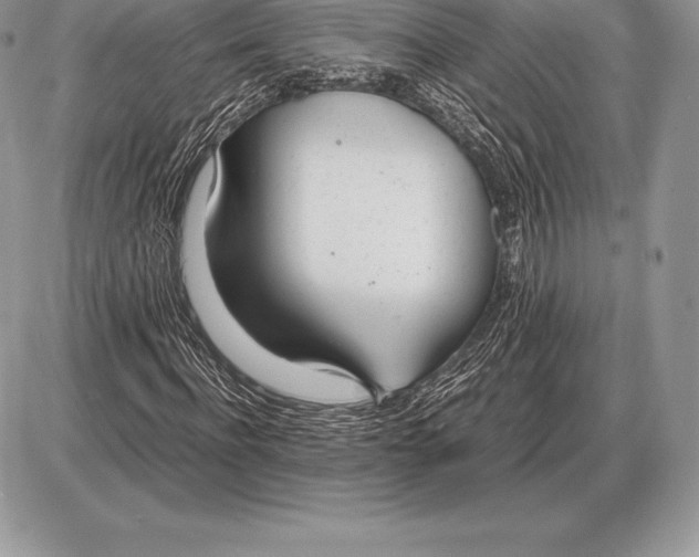 X0000085790916200704131850