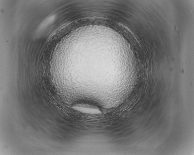 X0000085790919200704131851