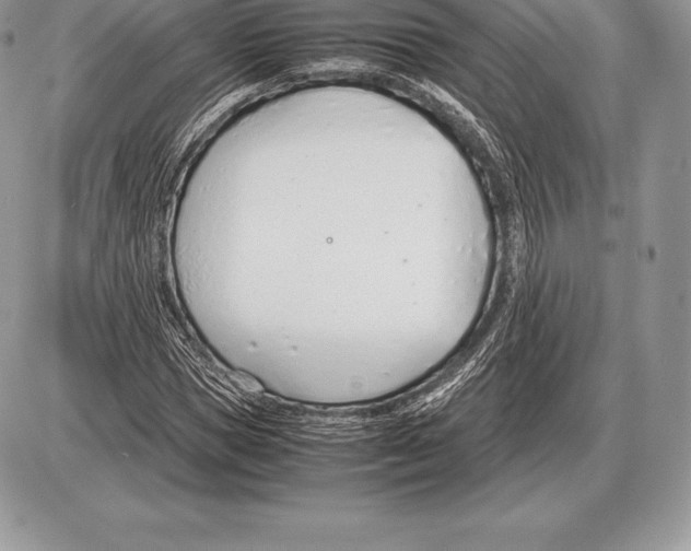 X0000085790921200704131851