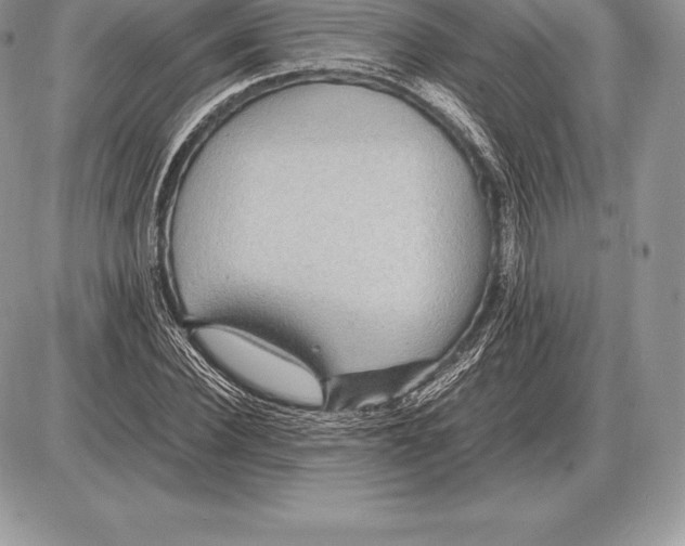 X0000085790924200704131851