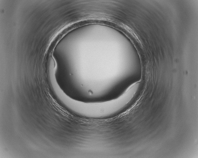 X0000085790926200704131851