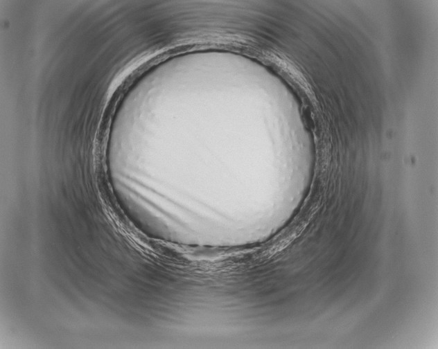 X0000085790928200704131851