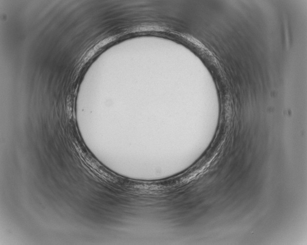 X0000085790929200704131851