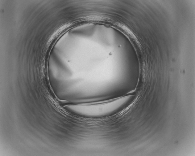 X0000085790930200704131851