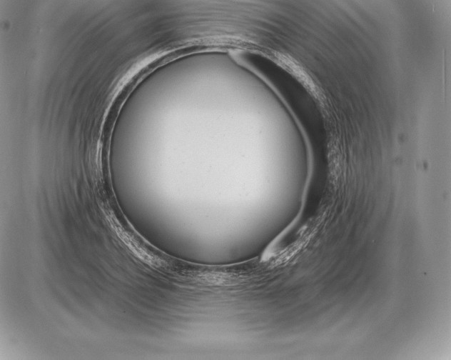 X0000085790932200704131851