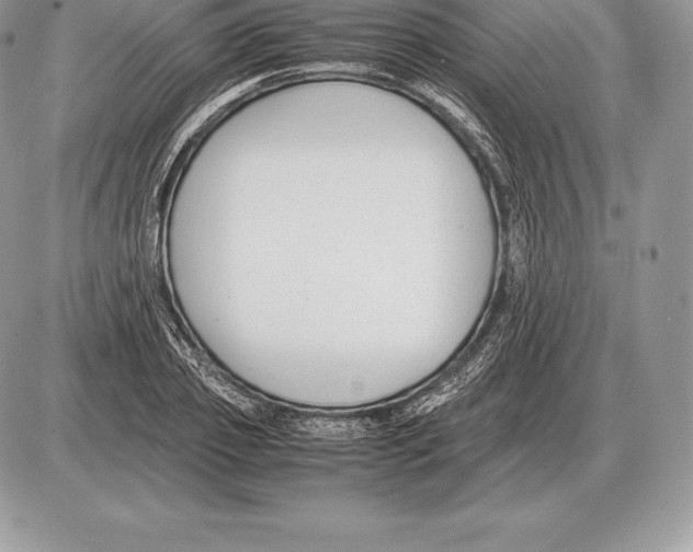 X0000085790933200704131851