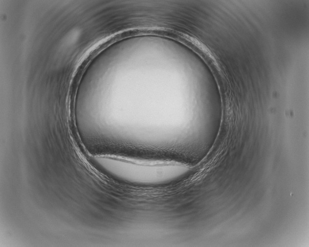 X0000085790935200704131851