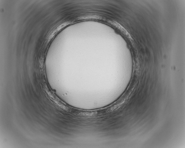 X0000085790937200704131851
