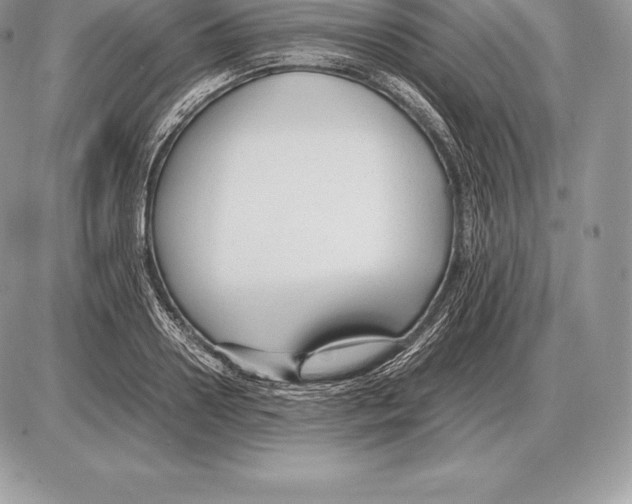 X0000085790938200704131851