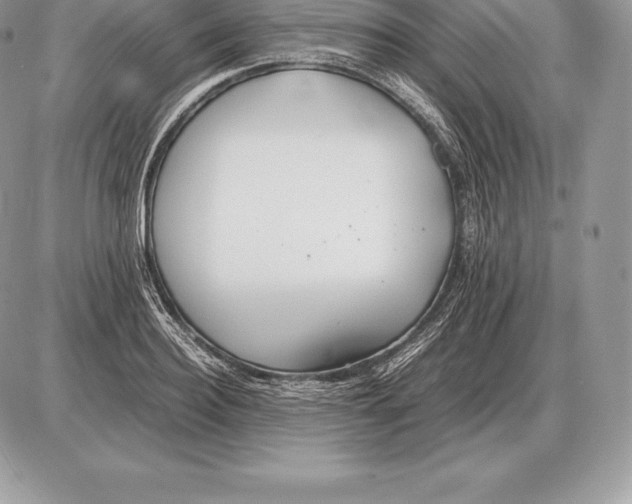 X0000085790940200704131851