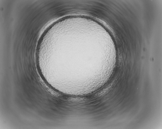 X0000085790943200704131851