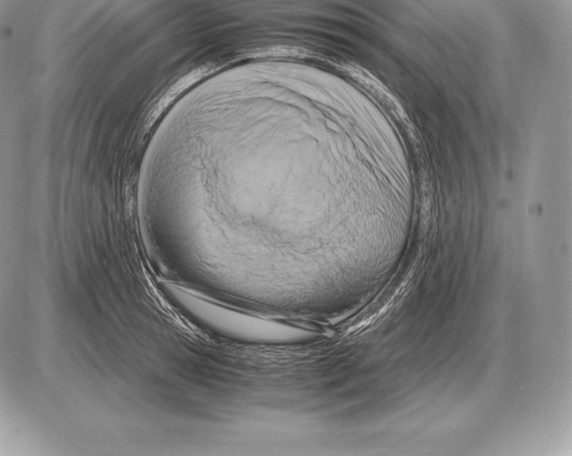 X0000085790945200704131851