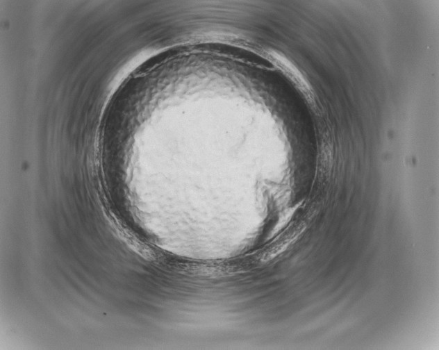 X0000085790948200704131851