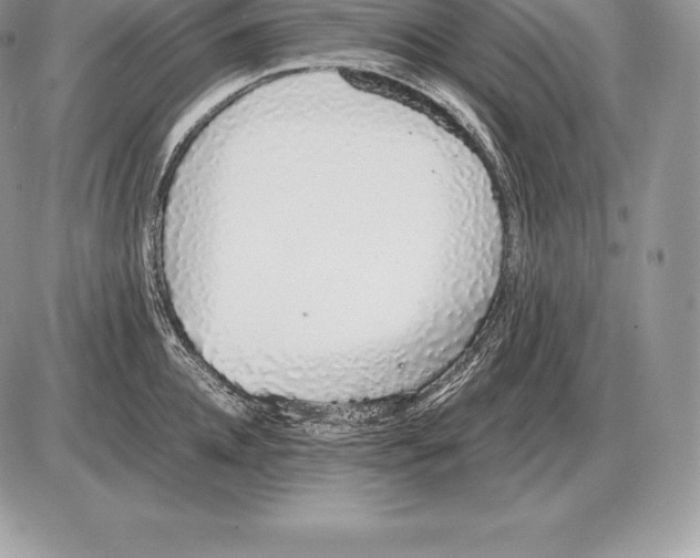 X0000085790952200704131851