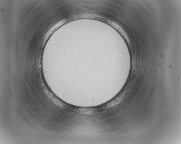 X0000085790954200704131851