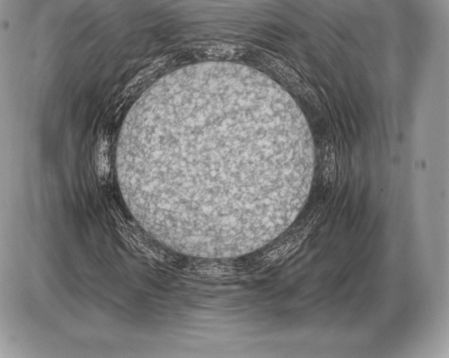 X0000085790962200704131850