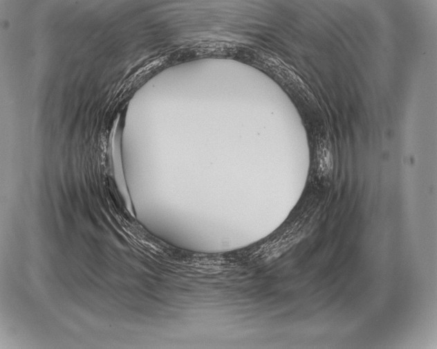 X0000085790964200704131850