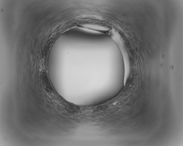 X0000085790965200704131850