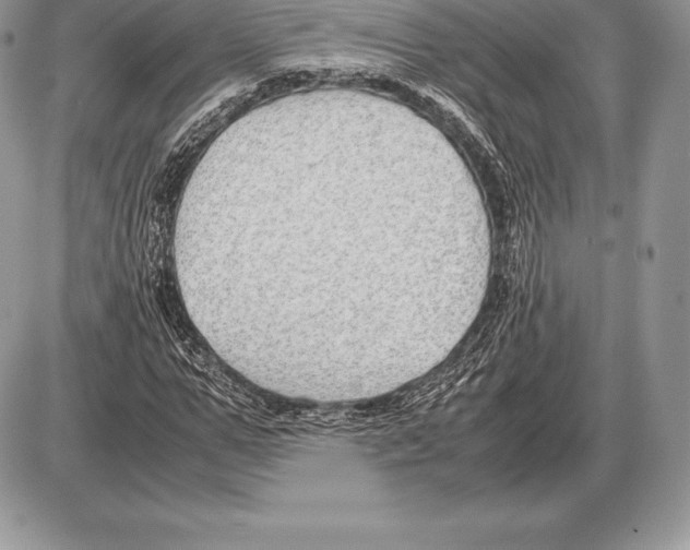 X0000085790967200704131850