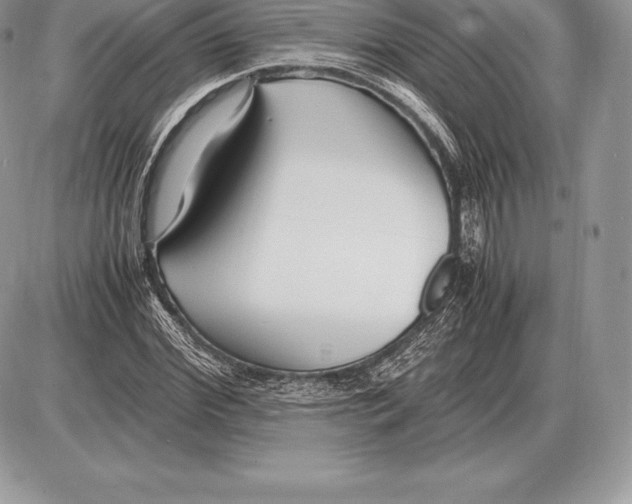 X0000085790972200704131850