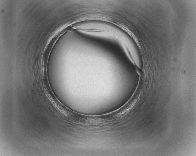 X0000085790981200704131850