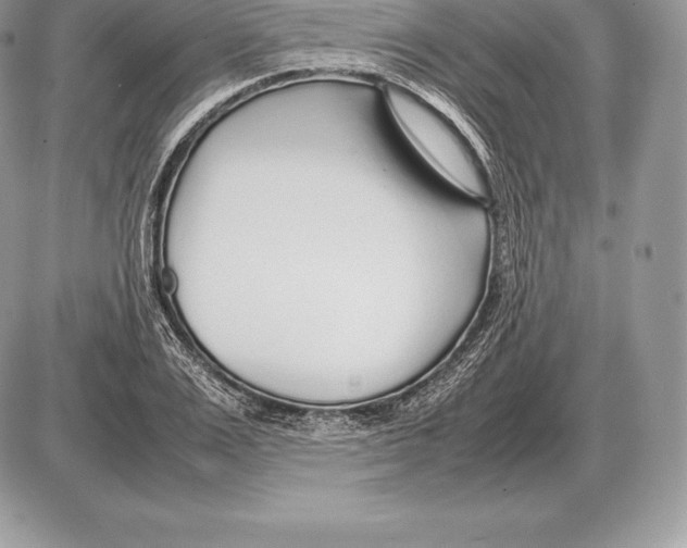 X0000085790983200704131850