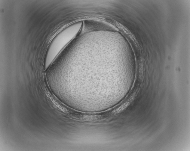 X0000085790985200704131850