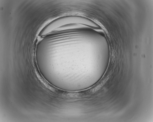 X0000085790989200704131850