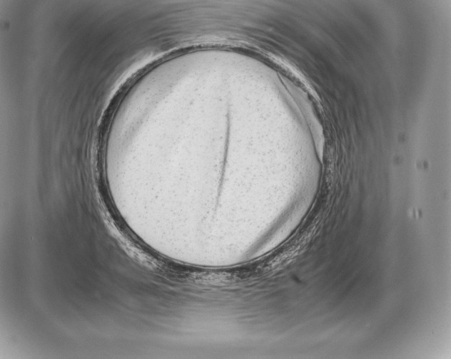 X0000085790991200704131850