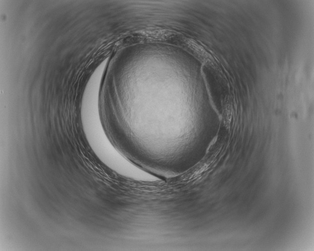 X0000085791010200704131849
