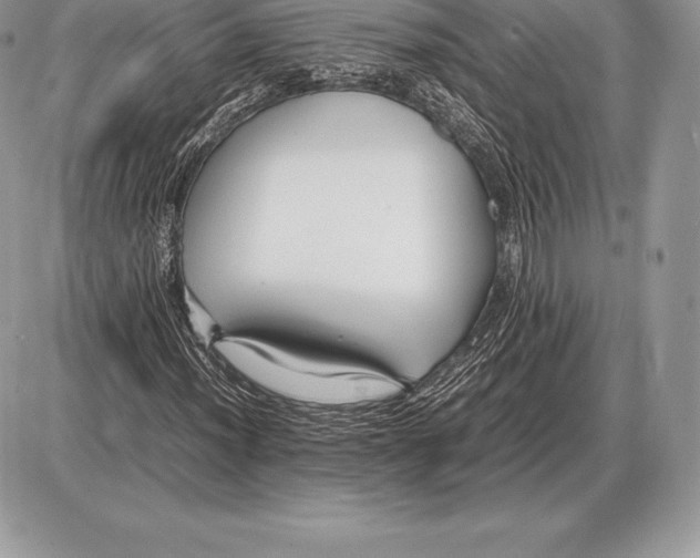 X0000085791012200704131849