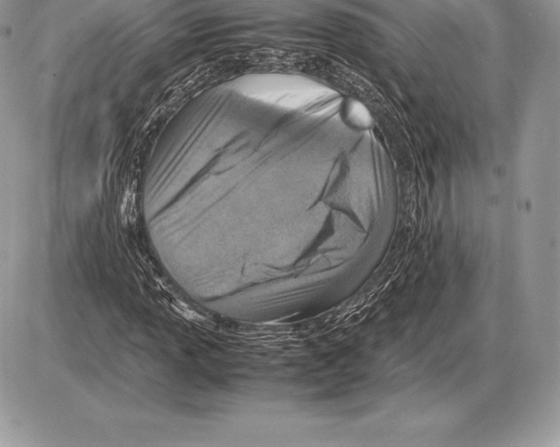 X0000085791013200704131849