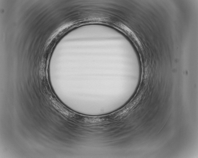 X0000085791019200704131849