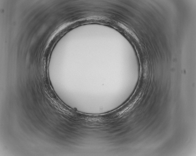 X0000085791021200704131849