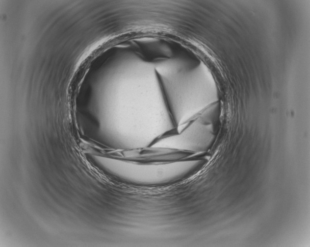 X0000085791022200704131849