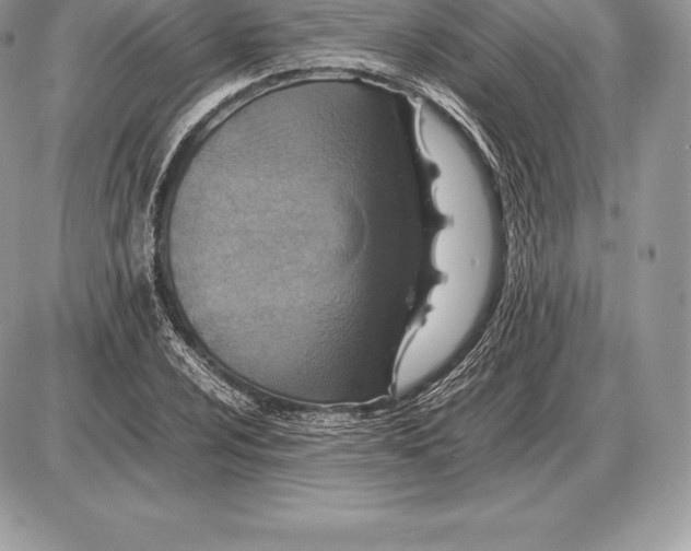 X0000085791024200704131849