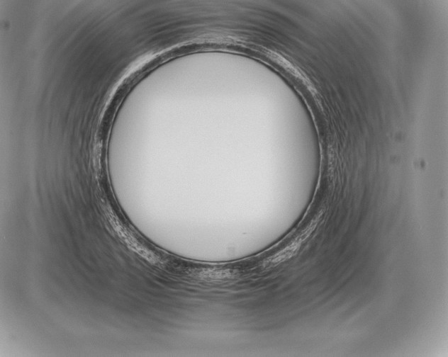 X0000085791029200704131849