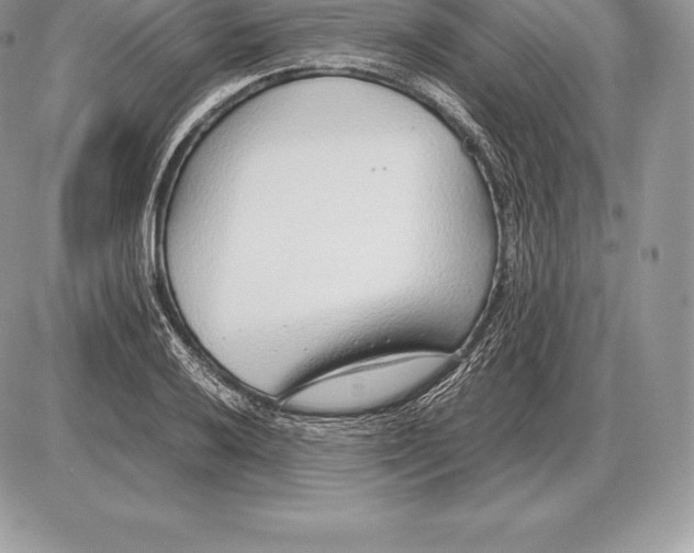 X0000085791032200704131849