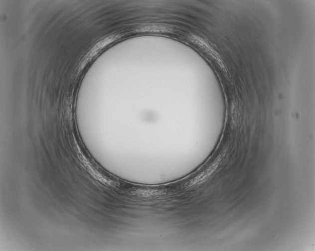 X0000085791033200704131849