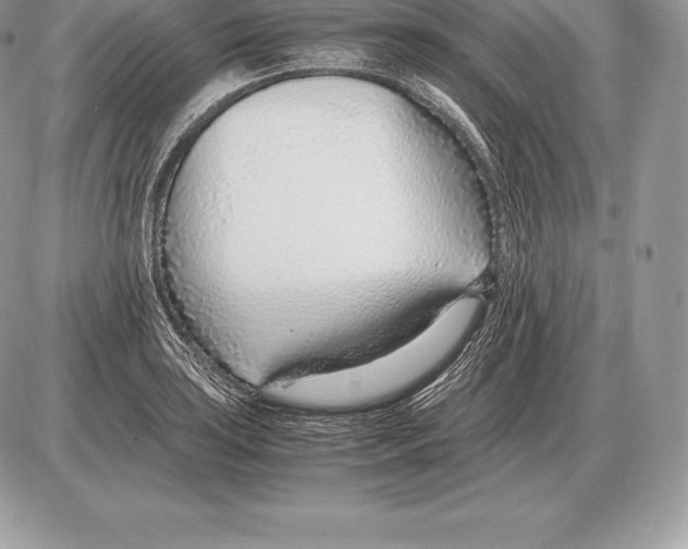 X0000085791035200704131849
